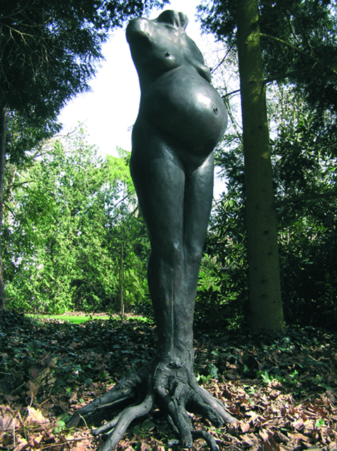 Levensboom